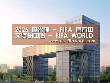案例展示四