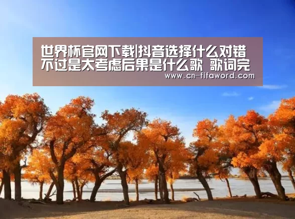 世界杯官网下载|抖音选择什么对错不过是太考虑后果是什么歌 歌词完整版(图4) 世界杯直播