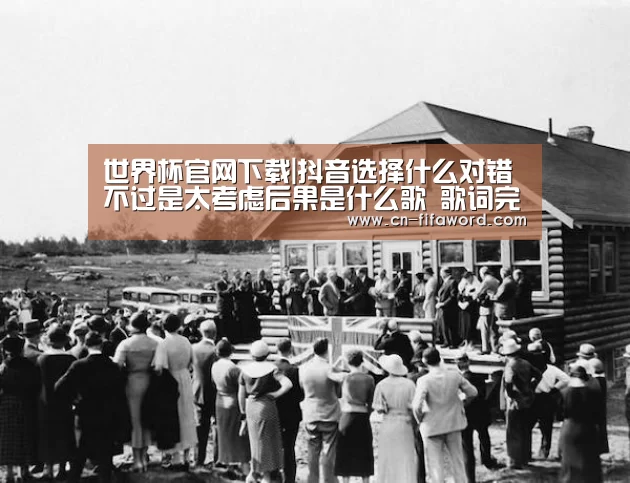 世界杯官网下载|抖音选择什么对错不过是太考虑后果是什么歌 歌词完整版(图2) 世界杯官网足球